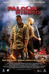 falcon rising.jpg